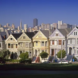 Alamo Square & City Skyline, San Francisco, California USA