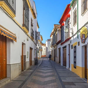 Alley in the old town, Cordoba, Andalusia, Spain