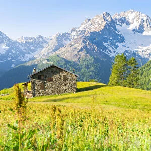 Alpe dell Oro and Monte Disgrazia, Valmalenco, Valtellina, province of Sondrio, Lombardy