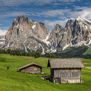 Alpe di Siusi - Seiser Alm with Sassolungo - Langkofel mountain group in the background