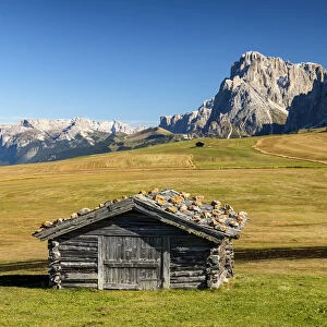 Alpe di Siusi with view of Sassolungo and Sassopiatto, Dolomites, Italy