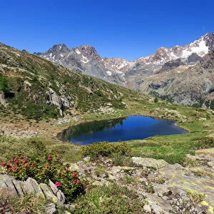 Alpine lake of Lago di Zana, in front of Mount Disgrazia, Valmalenco, Province of Sondrio