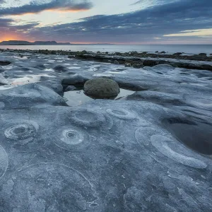 Ammonite Graveyard at sunrise, Monmouth Beach, Lyme Regis