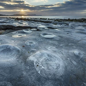 Ammonite Graveyard at sunrise, Monmouth Beach, Lyme Regis