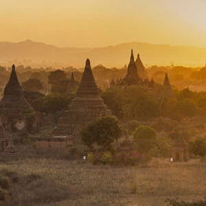Ancient temple city of Bagan (also Pagan) & ox cart, Myanmar (Burma)