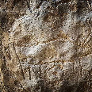 Animal engraving at Gobustan Rock Art Cultural Landscape Reserve has an outstanding