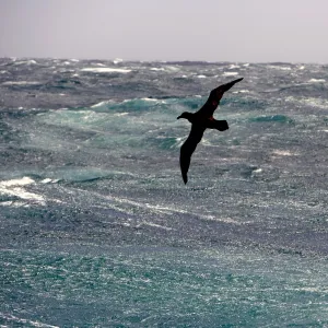 Antarctica, Drakes Passage