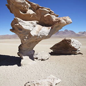 Arbol de Piedra (Stone Tree) in Altiplano, Potosi Department, Bolivia