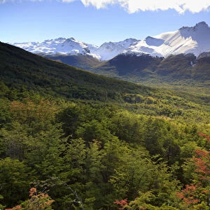 Argentina, Tierra del Fuego, Ushuaia, Tierra del Fuego National Park