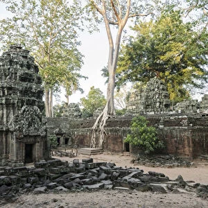 Asia, Cambodia, Siem Reap, UNESCO, World Heritage, Angkor, Ta Prohm