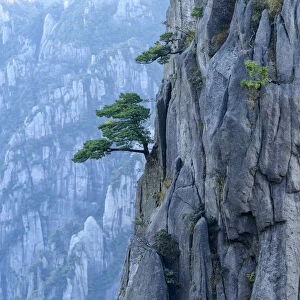Asia, China, Anhui Province, Mount Huangshan, UNESCO, Yellow Mountain, rock wall