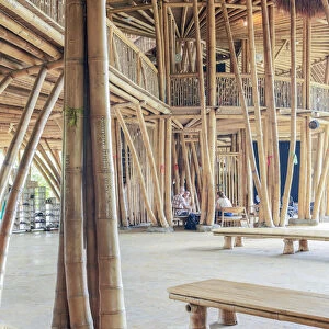 Asia, Indonesia, Bali, Bamboo architecture at John Hardys Green School in Kabupaten