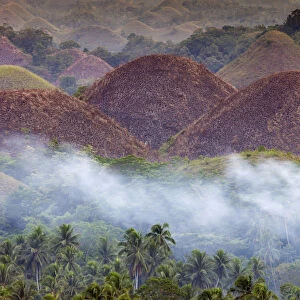 Asia, South East Asia, Philippines, Visayas, Bohol, the chocolate hills - the domes