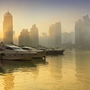 Asia, United Arab Emirates, Dubai, the Dubai Marina walk area at dawn