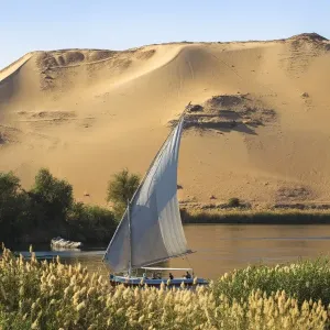 Aswan Print: Elephantine Island and Nile River View Aswan Print: Elephantine Island and Nile River View