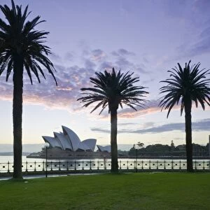Australia, New South Wales, Sydney, Sydney Opera House through palms