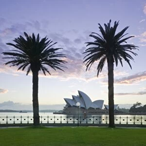 Australia, New South Wales, Sydney, Sydney Opera House through palms