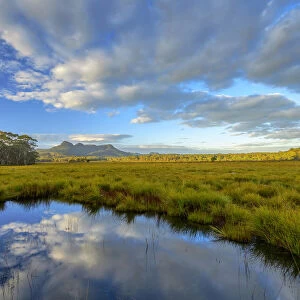 Australia, Tasmania, Franklin-Gordon Wild Rivers National Park