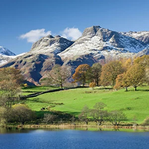 Autumn colours beside Loughrigg Tarn with views to the snow dusted mountains of the Langdale Pikes