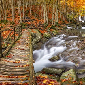 Autumn at Dardagna waterfalls, Corno Alle Scale Regional Park, Lizzano in Belvedere