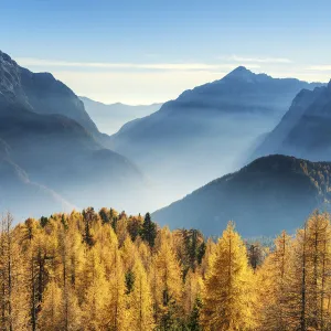 Autumn Mist in Julian Alps, Triglav National Park, Slovenia, Europe