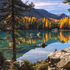 Autumn reflections at Saoseo Lake, Poschiavo Valley, Canton of Graubuenden Switzerland