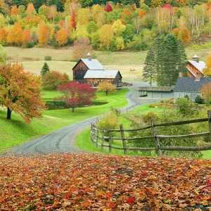 Autumn at Sleepy Hollow Farm, Green Mountains, Pomfret, Vermont, USA Autumn at Sleepy Hollow Farm, Green Mountains, Pomfret, Vermont, USA