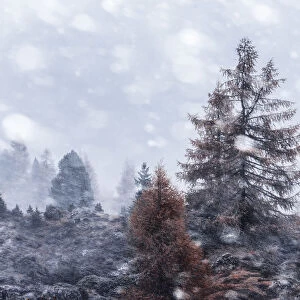 Autumn snowstorm near the Falzarego Pass in the Dolomites, Italy