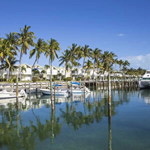 Bahamas, Abaco Islands, Great Abaco, Treasure Cay, Treasure Cay Beach, Marina & Golf