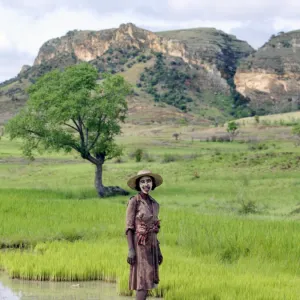 A Bara woman works in her paddy fields close to the