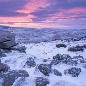 Beautiful sunrise over a frozen and snow covered Belstone Tor, Dartmoor National Park