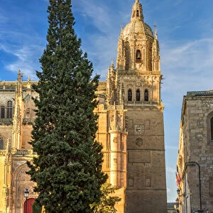 Bell tower, Cathedral, Salamanca, Castile and Leon, Spain