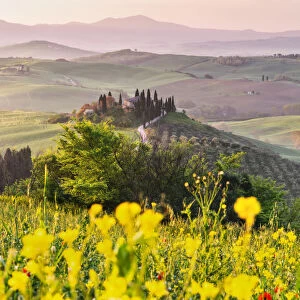 Belvedere farmhouse In orcia valley, San Quirico d Orcia, Tuscany, Italy