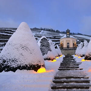 Belvedere and Garden of Wackerbarth Castle in Winter, saxon wine route, Radebeul, Saxony