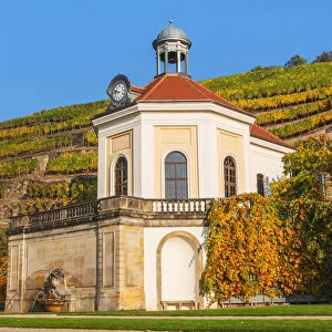Belvedere of Wackerbarth Castle, in the back vineyards in autumn, saxon wine route