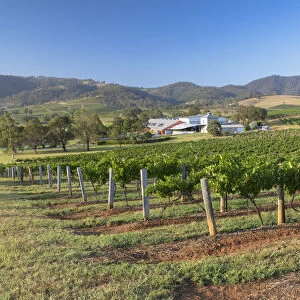 Ben Ean Wine Estate, Hunter Valley, New South Wales, Australia