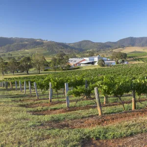 Ben Ean Wine Estate, Hunter Valley, New South Wales, Australia