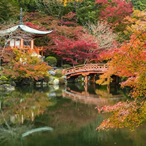 Bentendo Hall & Bridge in Autumn, Daigo-ji Temple, Kyoto, Japan