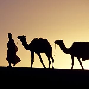 A Berber tribesman is silhouetted as he leads his two
