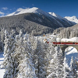 Bernina Express passes near S-chanf, Graubunden, Engadin Switzerland, Europe