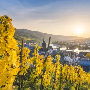 Bernkastel-Kues, Bernkastel-Wittlich district, Rhineland-Palatinate, Germany