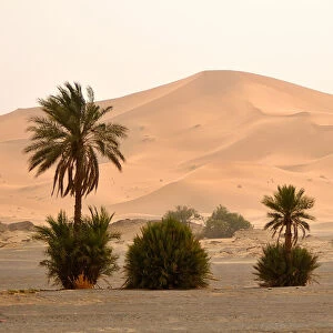 A big sand dunes in the desert of Erg Chebbi, Sahara. Morocco, North Africa