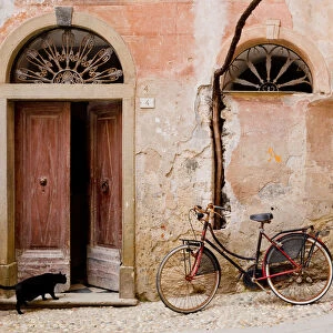 Bike & Black Cat, Monterosso al Mare, Cinque Terre, Liguria, Italy