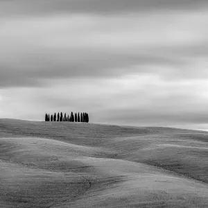 Black and White Tuscan Landscape Print Black and White Tuscan Landscape Print