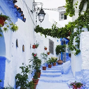 Blue painted steps with flower pots, Chefchaouen, Morocco