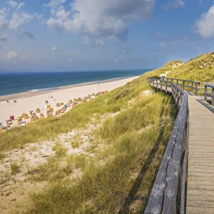 Boardwalk in the dunes near Wenningstedt, Sylt, Schleswig-Holstein, Germany