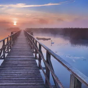 Boardwalk over lake - Germany, Baden-Wurttemberg, Tubingen, Biberach