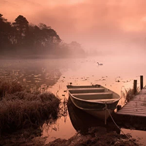 Boat & Jetty at Sunrise with Swan, Elterwater, Lake District National Park, Cumbria