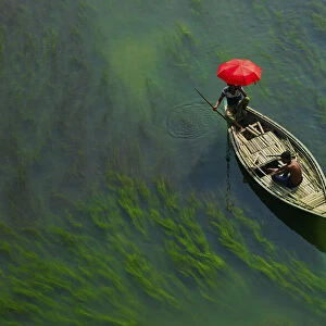 A boat man crossing river with full of algae, Sirajganj, Bangladesh
