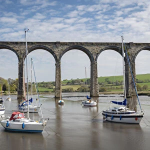 Boats moored on the River Tiddy beneath the St Germans viaduct, St Germans, Cornwall